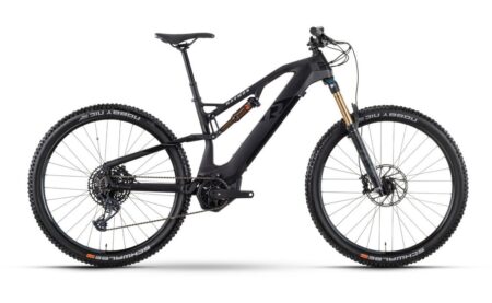 Raymon FullRay 150E 11.0 - 630 Wh - 29 Zoll - Fully